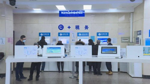 黑龍江省全面上線增值稅電子專用發票，為信息咨詢服務行業注入數字化新動能